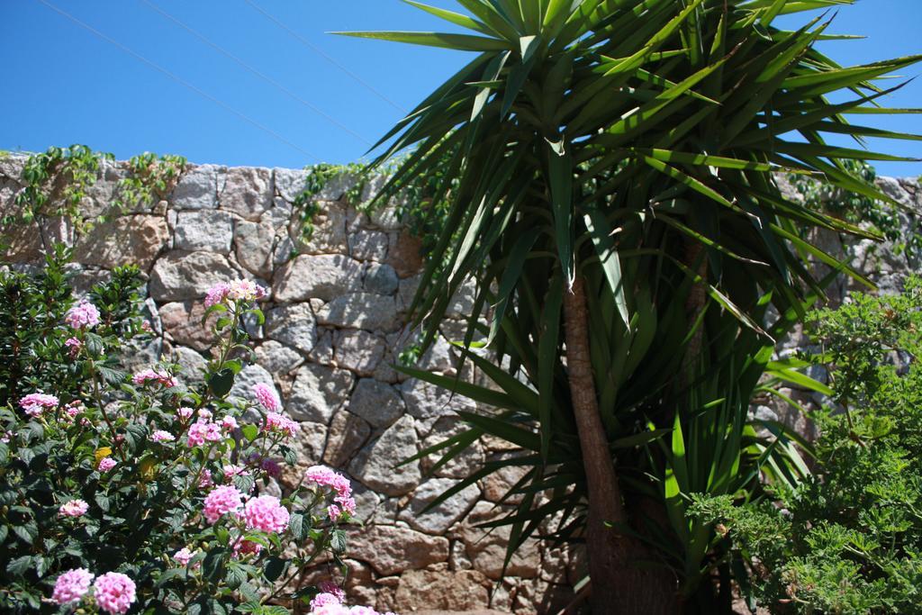 Résidence Benista Village de vacances 3*